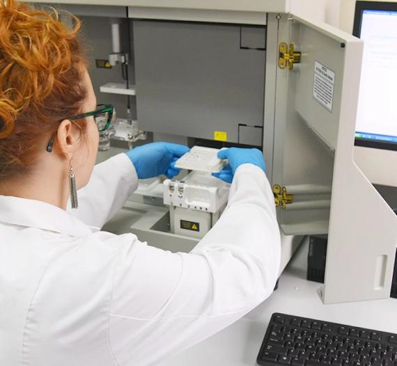 Department of Genetics and Bioengineering