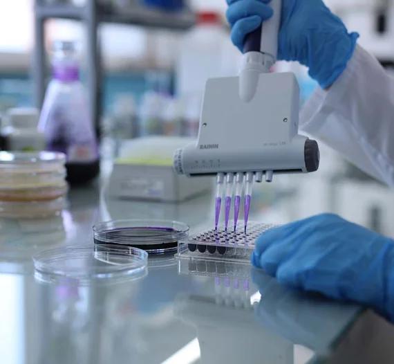 Department of Genetics and Bioengineering