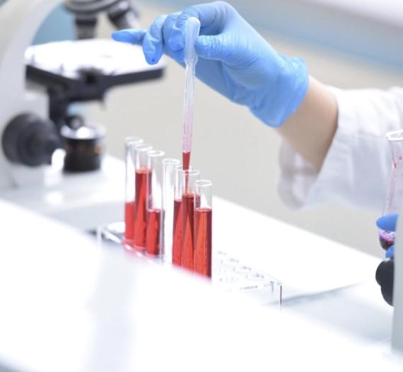Department of Genetics and Bioengineering